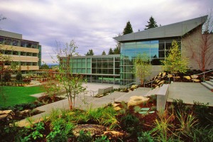 Microsoft's Redmond Campus
