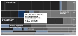 NSA Budget Breakdown