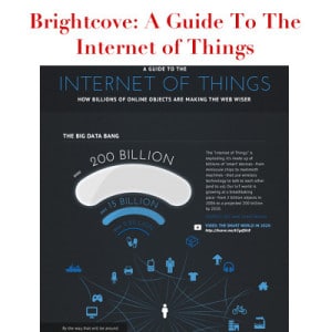 BrightCove Guide to Internet of Things