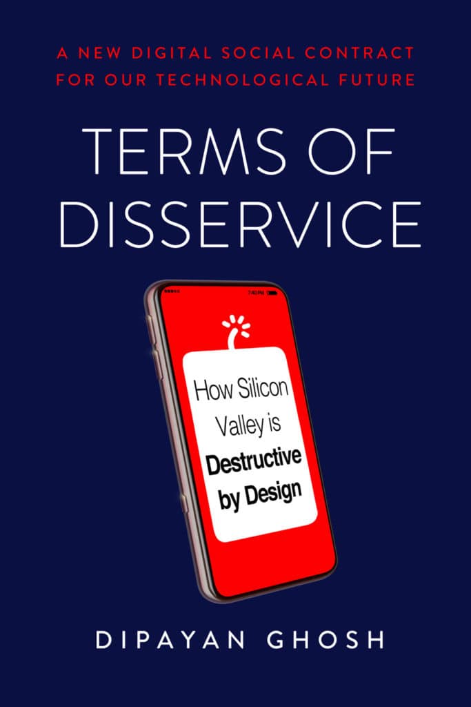 Terms of Disservice book Cover