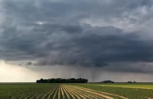 Storm over farm