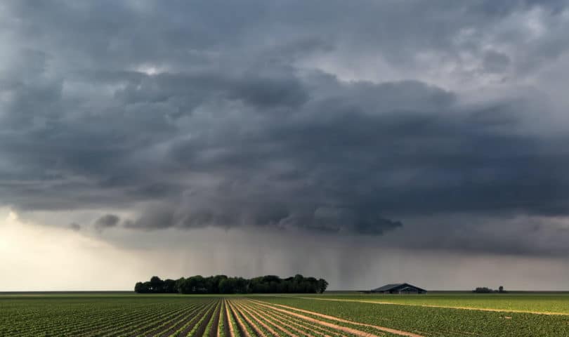 Storm over farm
